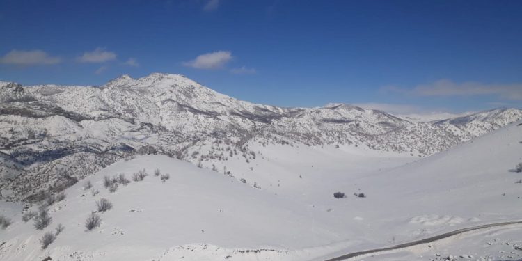 TAYBET – BERF BARÎ Lİ SER ÇIYAYÊN LICÊ’YA BERXWEDÊR