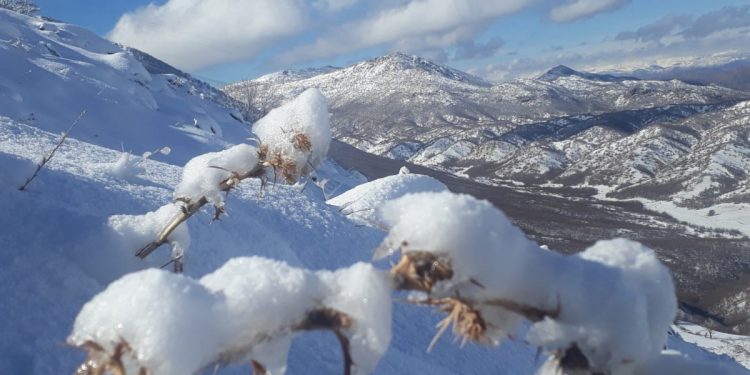 TAYBET – BERF BARÎ Lİ SER ÇIYAYÊN LICÊ’YA BERXWEDÊR