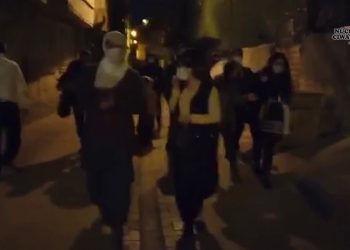 Ciwanan li Amedê ‘Serê Salê’ pîroz kirin