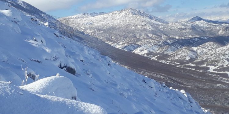 TAYBET – BERF BARÎ Lİ SER ÇIYAYÊN LICÊ’YA BERXWEDÊR