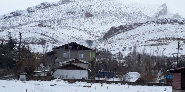 TAYBET – BERF BARÎ Lİ SER ÇIYAYÊN LICÊ’YA BERXWEDÊR