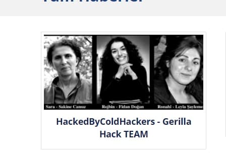 Gerilla Hack Team çalakî pêk anî