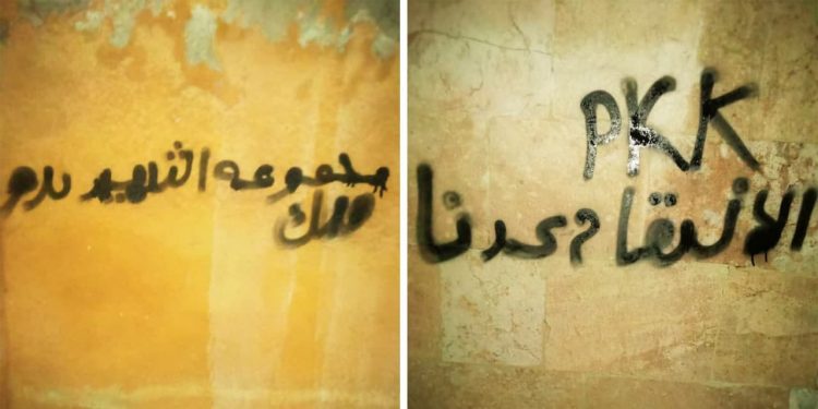 Efrînê de çalakî û tevgera ciwanan