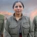 Partiya Jiyana Azad a Kurdistanê 3 Şehîd bi bîr anî
