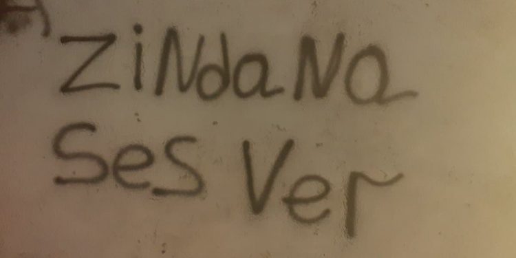 Ciwanên Antalyayê li dijî tecrîdê xebat pêk anîn