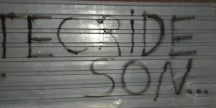 Ciwanên Antalyayê li dijî tecrîdê xebat pêk anîn