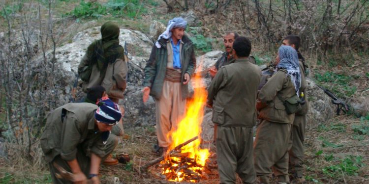 Ji Pênûsa Gerîla – Lawikê Metînî