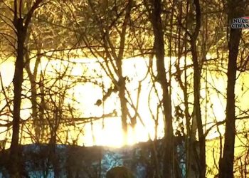 LEZGÎN- DGH’ê li dijî hevkaran çalakiyeke bi teqemeniyê pêk anî