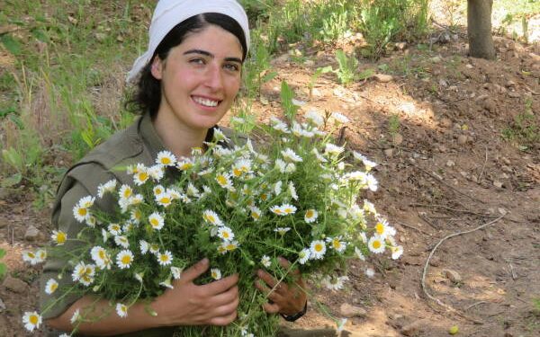 Gerîlaya YJA-STAR’ê bang li malbata xwe kir: “Em ji bo we şer dikin”