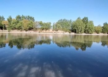 TAYBET – Amed: Paytexta bedewiyê