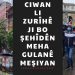 Ciwan li Zurîhê ji bo Şehîdên Meha Gulanê Meşiyan