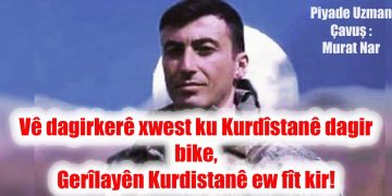 Gerîla dagirkerek dîsa kêm kir