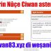 Hûn nikarin Nûçe Ciwan asteng bikin
