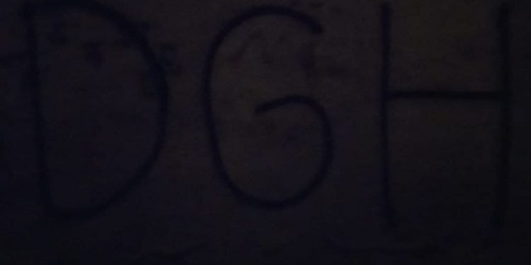 DGH’ê li dijî tecrîdê portreyên Rêber Apo li ser dîwarên Stenbolê çêkir