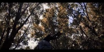 Li ser berxwedana gerîla klîbeke nû!