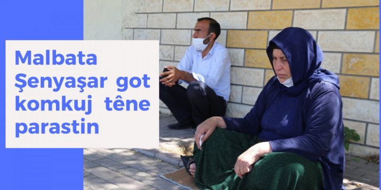 Malbata Şenyaşar got komkuj têne parastin