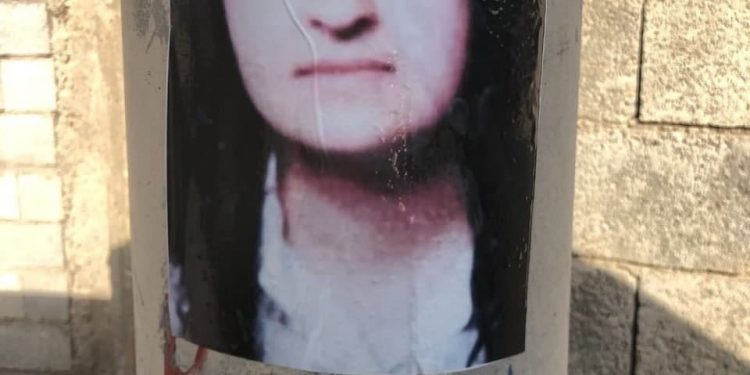 Ciwana li Wan, Îzmîr û Şirnexê Şehîd Zîlan bi bîranîn