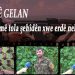 DOSYA TAYBET – DEMÊ GELAN – Emê tola şehîdên xwe erdê nehêlin