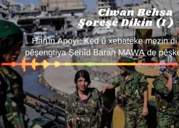 Ciwan behsa şoreşê dikin 1 – Harûn Apoyî: Ked û xebateke mezin di pêşengtiya Şehîd Baran MAWA de pêşket