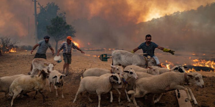 Peyama KCK’ê ya li ser şewatan: Em ji ber êşa gelên Tirkiyeyê xemgîn in
