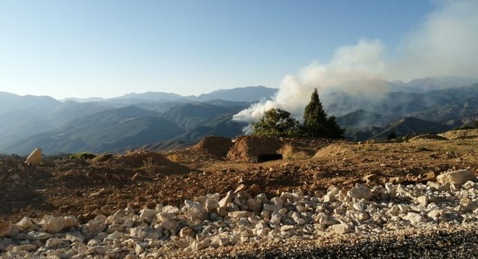 Dersîm dişewite dewleta faşîst temaşe dike