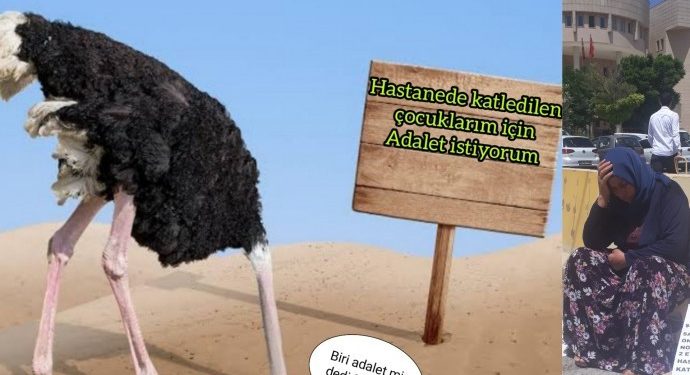 Malbata Şenyaşar: Hûn ê nikaribin ji berpirsyariyê, ji rastiyan birevin!