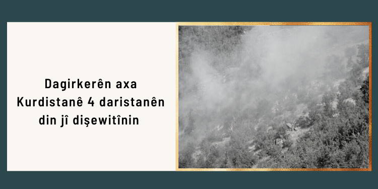 Dagirkerên axa Kurdistanê 4 daristanên din jî dişewitînin