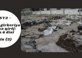 Dosya – Ruyê dagirkeriya Tirk: Talan û dizî – Efrin 3