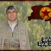 HPG’ê nasnameya şervanekî xwe yê 2018’an de şehîd bûbû parvekir