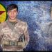 HPG’ê şahadeta Zal Şengal ragihand