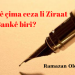 Almanyayê çima ceza li Zîraat Bankê birî?