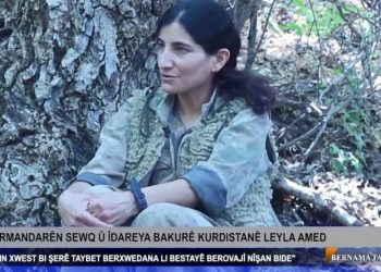 Leyla Amed: Dem dema ku bi hêstên tolhildanê li dijmin dayinê ye