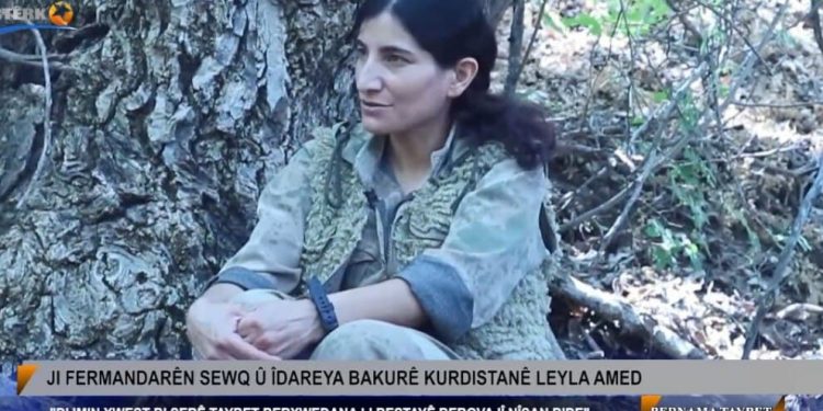 Leyla Amed: Dem dema ku bi hêstên tolhildanê li dijmin dayinê ye