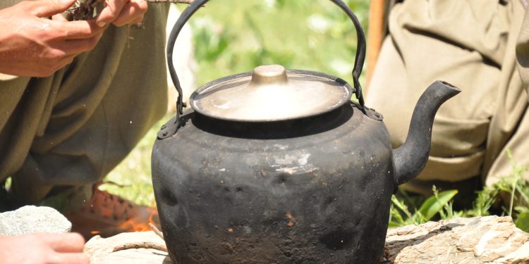 Ji Pênûsa Gerîla – Xem Nexwe Heftenîna Delal Em Dostên Te Jibîrnakin