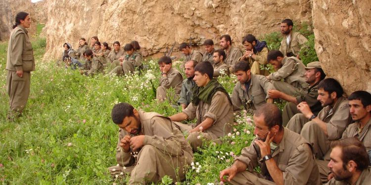 Ji Pênûsa Gerîla – Hevala Gulan Fêmkirin, Fêmkirina Rêgeza Cangoriyê ye