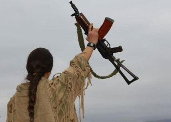 Gerîla li herêma Xakurkê li dagirkeran xistin; 3 dagirker hatin cezakirin