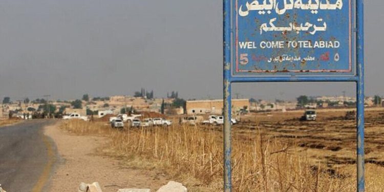 Çeteyên dewleta Tirk dayikek û pitikek revandin