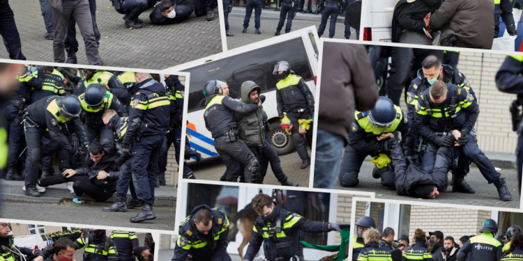 Endamên TCŞ’ê ên ku Holandayê hatîbûn girtin hatin berdan