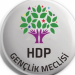 Meclîsa Ciwanan a HDP: AKP kujerê Enes e