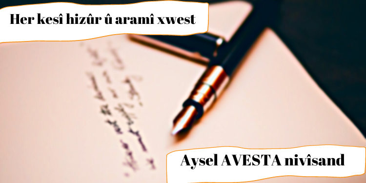 Her kesî hizûr û aramî xwest