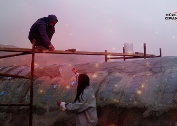 TCM û TJCM bi hev re ketin nava kar û xebatên projeya Ekoloji ya Parmakulturê