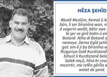 “Hêza Şehîd”