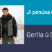 Ji pênûsa gerîla – Gerîla û Demsal