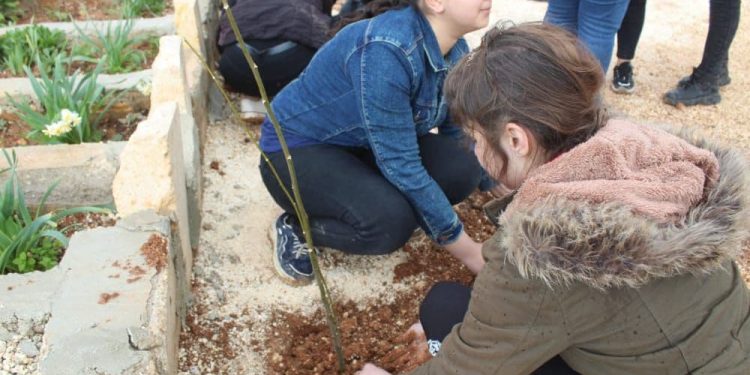 Yekitiya Jinên Ciwan li Şehbayê bi boneya 8’ê Adarê dar çandin