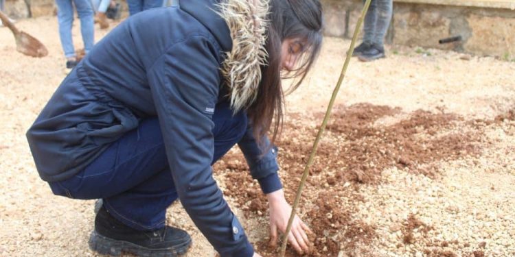 Yekitiya Jinên Ciwan li Şehbayê bi boneya 8’ê Adarê dar çandin