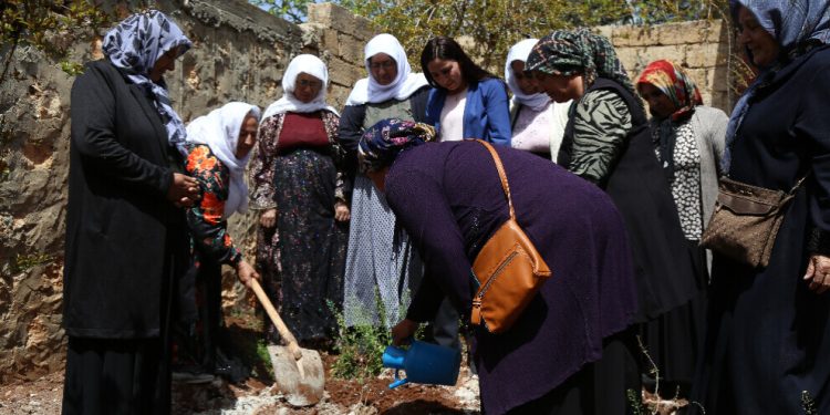 Dayîkan şitil ber derê Rêber Apo li dayîk buye çandin