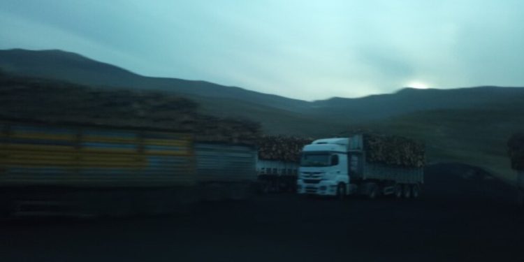 Dewleta Tirk a dagirker gefa birîna darên Bestayê li gundiyan dixwe