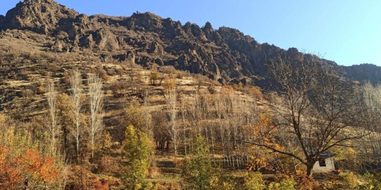 Dagirker cenazeya leşkerên xwe dibin nexwaşxanya Geverê