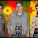 HPG’ê nasnameya 3 şehîdên Zap’ê ragihand
