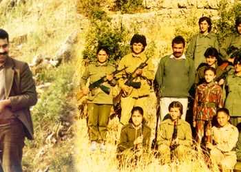 “Divê jin ji bo siyaseta demokratîk xebat bikin”